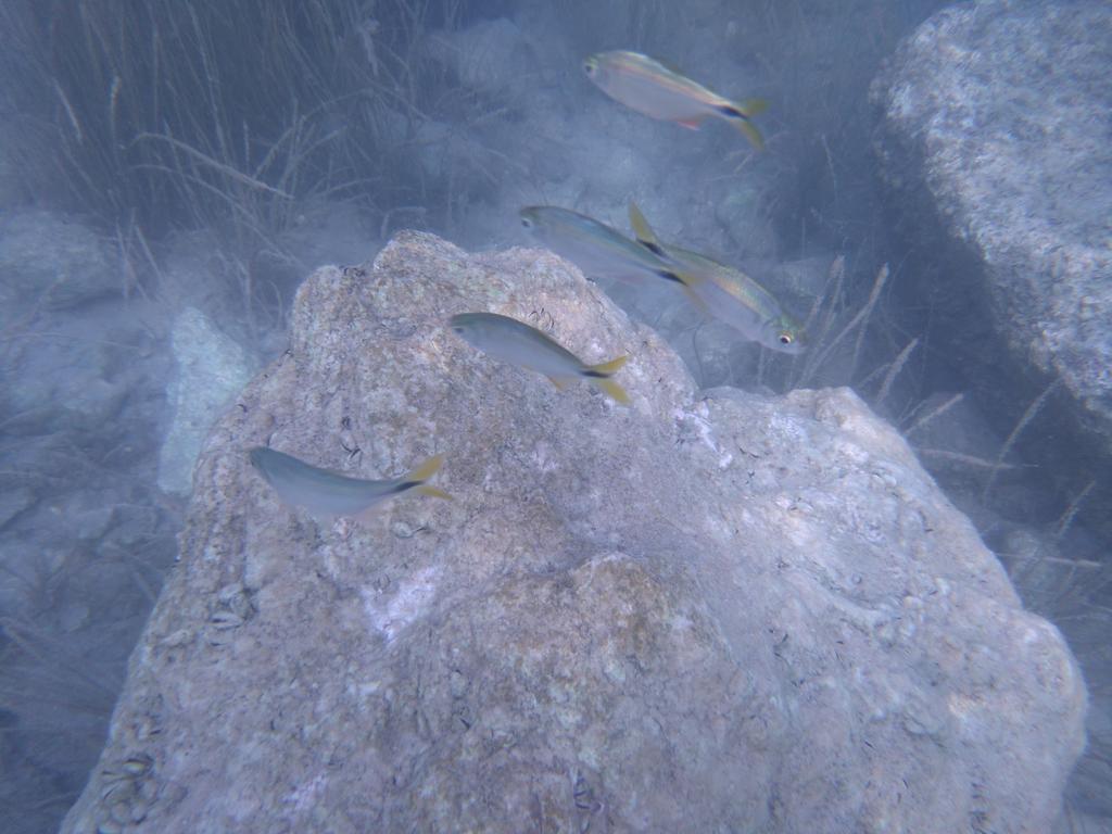 Casa Lamat Bacalar Buitenkant foto
